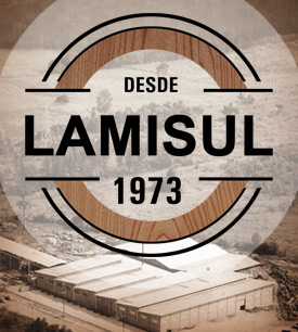 Lamisul - Desde 1973