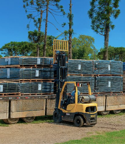 Lamisul - Transporte de Madera