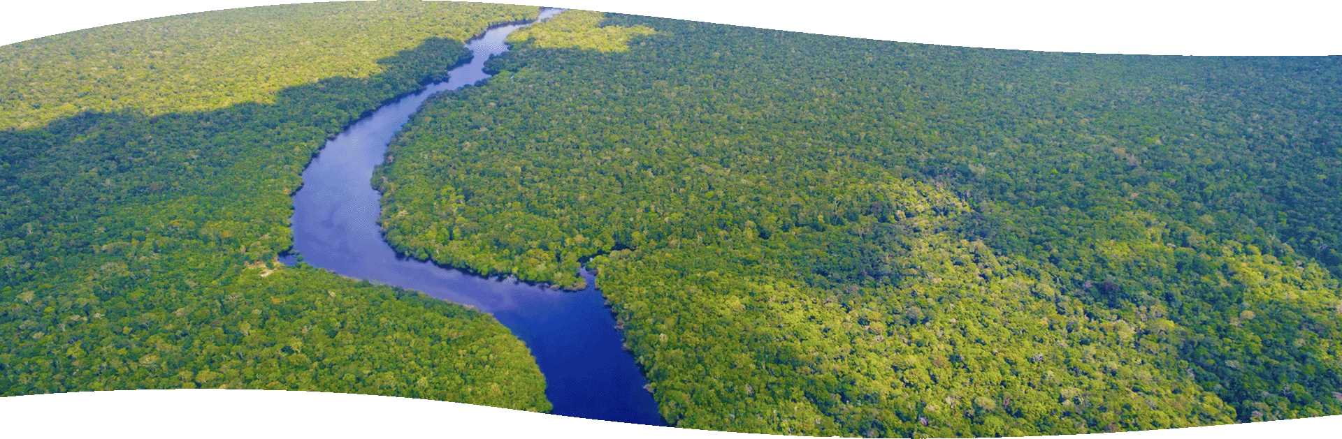 Lamisul - Meio Ambiente